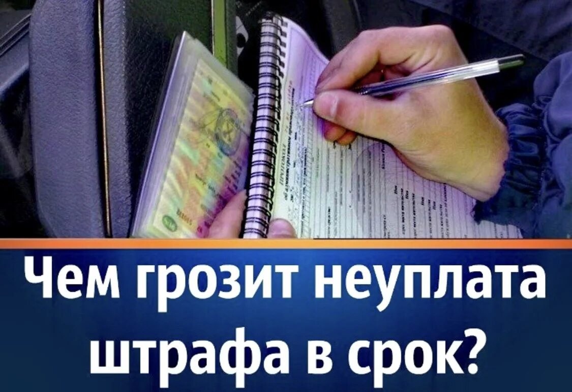 Вопросы к параграфу 5 гдз по обществознанию 8 класс боголюбов лазебникова городецкая